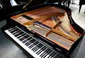 Flügel-Grotrian-Steinweg-160-schwarz-106121-7-b