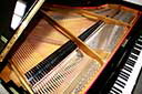 Flügel-Grotrian-Steinweg-160-schwarz-106121-8-b