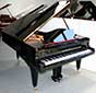 Flügel-Ibach-200-schwarz-61702-2-b