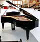 Flügel-Ibach-200-schwarz-61702-3-b