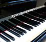 Flügel-Ibach-200-schwarz-61702-4-b