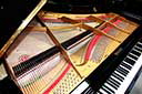 Flügel-Ibach-200-schwarz-61702-7-b