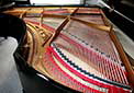 Flügel-Ibach-200-schwarz-61702-8-b