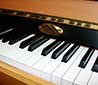 Klavier-Kemble-Oxford-110-Buche-294047-3-b