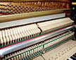 Klavier-Seiler-116-Primus-schwarz-150060-7-b