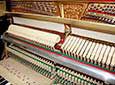 Klavier-Seiler-116-Primus-schwarz-150060-8-b